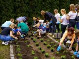 Siedlce: Kreatywny Ogród Społeczny w Siedlcach już otwarty