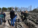 Makoszka: Niepełnosprawni i wolontariusze sadzili las