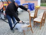 Czysto i ekologicznie