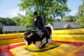 Atrakcja Festynu - byk rodeo