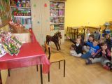 DSC00177.JPG