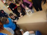 DSC00281.JPG