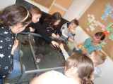 DSC00357.JPG