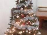 DSC00405.JPG