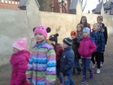 DSC00480.JPG