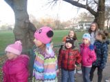 DSC00483.JPG