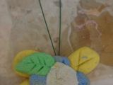 DSC00567.JPG