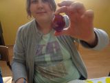 DSC00652.JPG