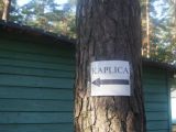 DSC01339.JPG