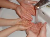 DSC01449.JPG