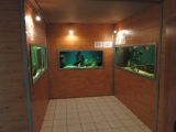 DSC02416.JPG