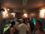 DSC02423.JPG
