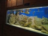 DSC02446.JPG