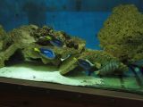 DSC02471.JPG