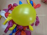 DSC03486.JPG