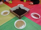 DSC04077.JPG