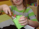 DSC04085.JPG
