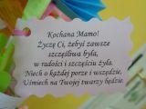 DSC05035.JPG
