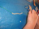 DSC05112.JPG