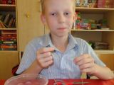 DSC05136.JPG