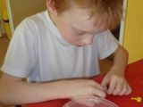 DSC05146.JPG
