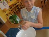 DSC05571.JPG