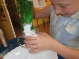 DSC05572.JPG
