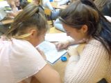 DSC08286.JPG