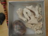 DSC08363.JPG