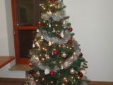 DSC08903.JPG