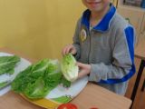 DSC09234.JPG