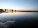DSCF4354.JPG