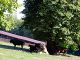 DSCF5658.JPG
