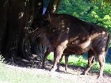 DSCF5659.JPG