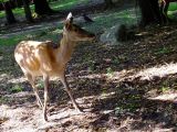 DSCF5671.JPG