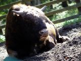 DSCF5677.JPG