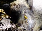 DSCF5735.JPG