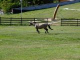 DSCF5743.JPG