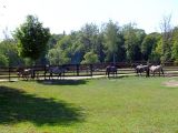 DSCF5746.JPG