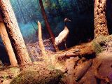 DSCF5771.JPG