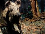 DSCF5791.JPG