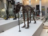 DSCF7148.JPG