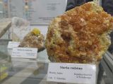 DSCF7182.JPG