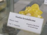 DSCF7183.JPG