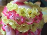 DSCF8753.JPG