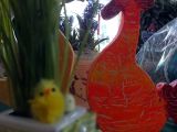 DSCF8861.JPG