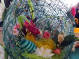DSCF8871.JPG