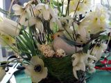 DSCF8875.JPG