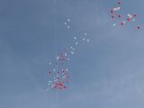 DSCF9679.JPG