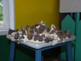 DSC 0416.JPG